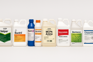 Best Herbicide for Flax