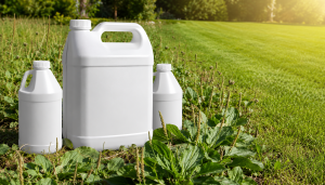 Best Weed Killer For Paddocks