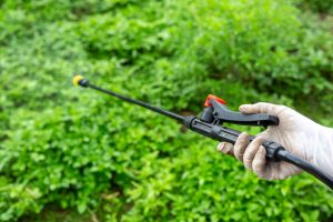 Best Weed Sprayer for Large Areas