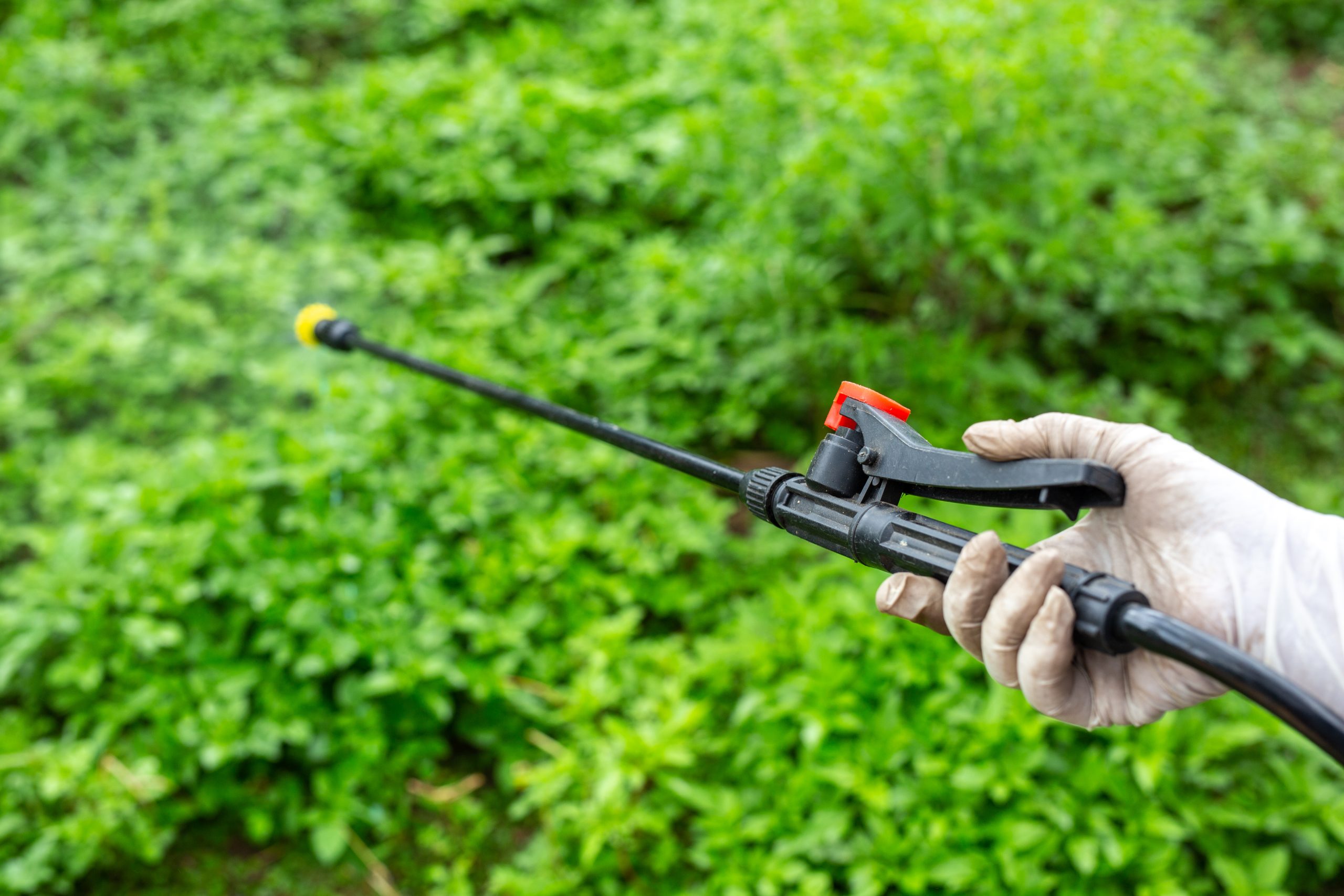 Best Weed Sprayer for Large Areas