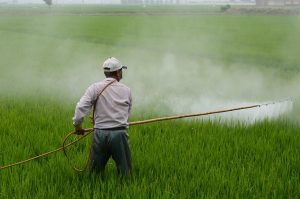 What Precautions Should You Take When Spraying Herbicides