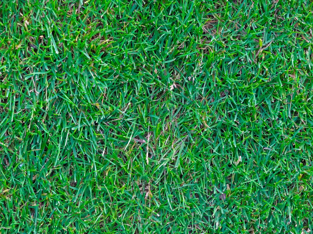 Best Weed Killer For Artificial Grass