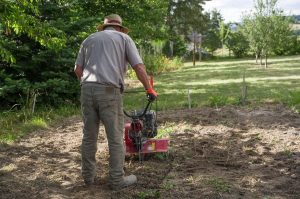  Best Petrol Rotavator For Allotment