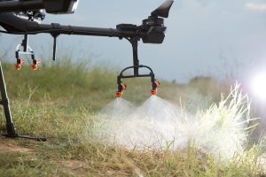 Is It Better To Spray Weeds Before Or After You Mow