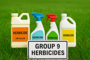 What Are Group 9 Herbicides