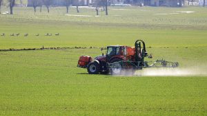 When To Spray For Weeds In Colorado 
