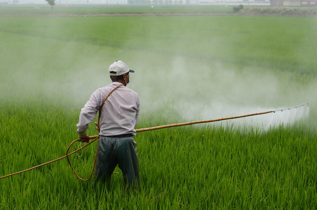 Herbicide Is Chlorimuron