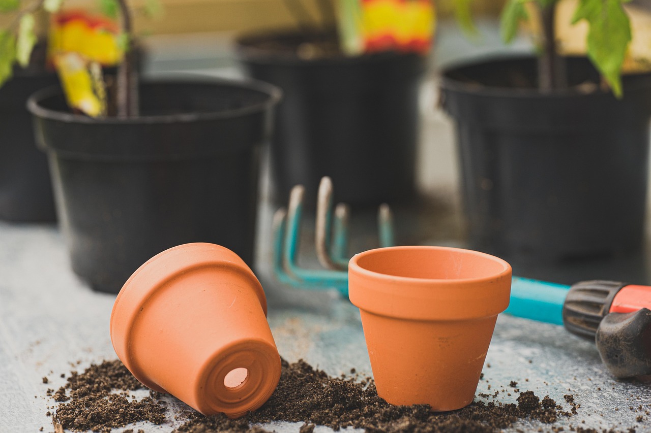 BEST SOIL FOR TOMATOES IN POTS INDOORS intelligence overview