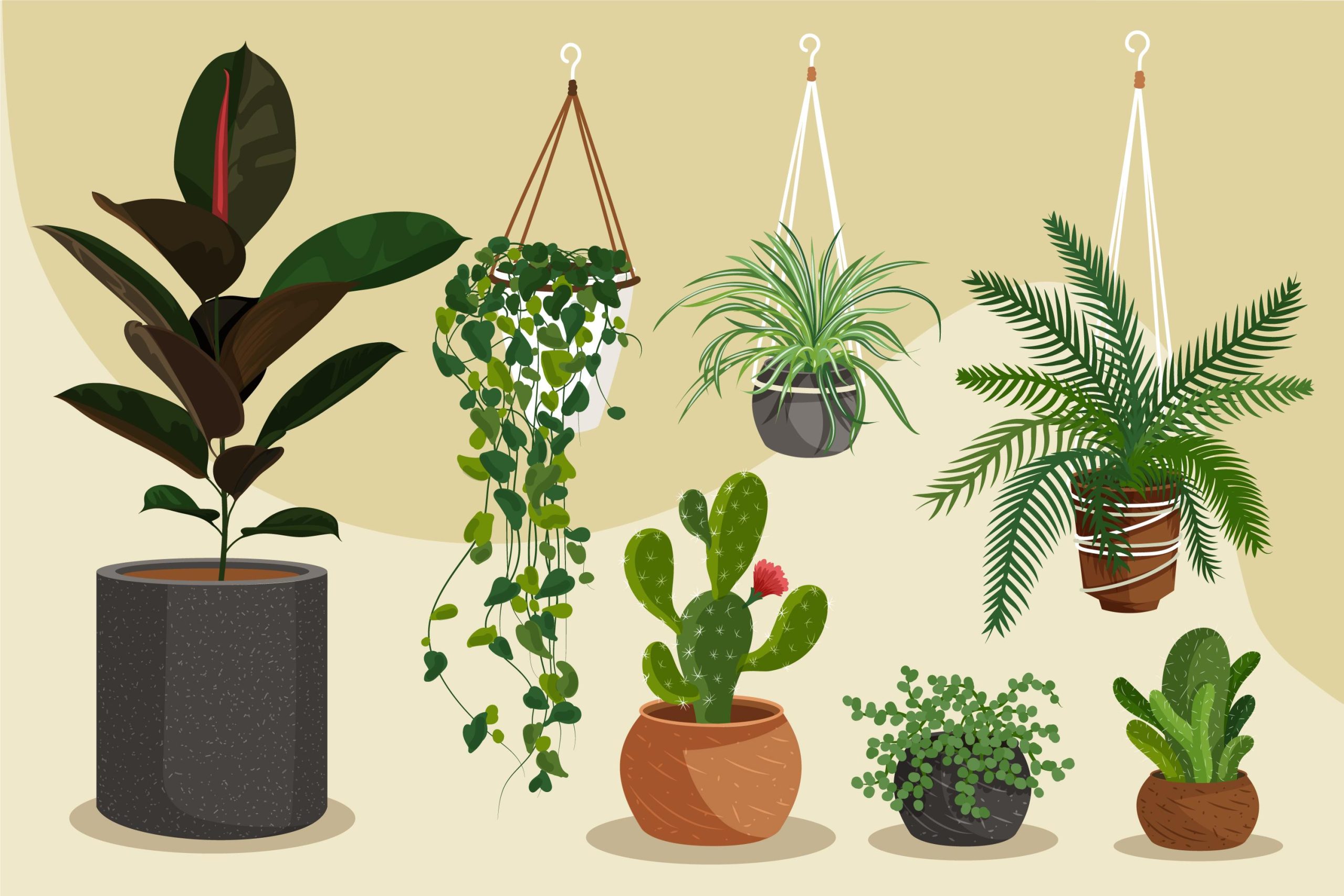 What Plants Benefit From Dr. Earth Fertilizer