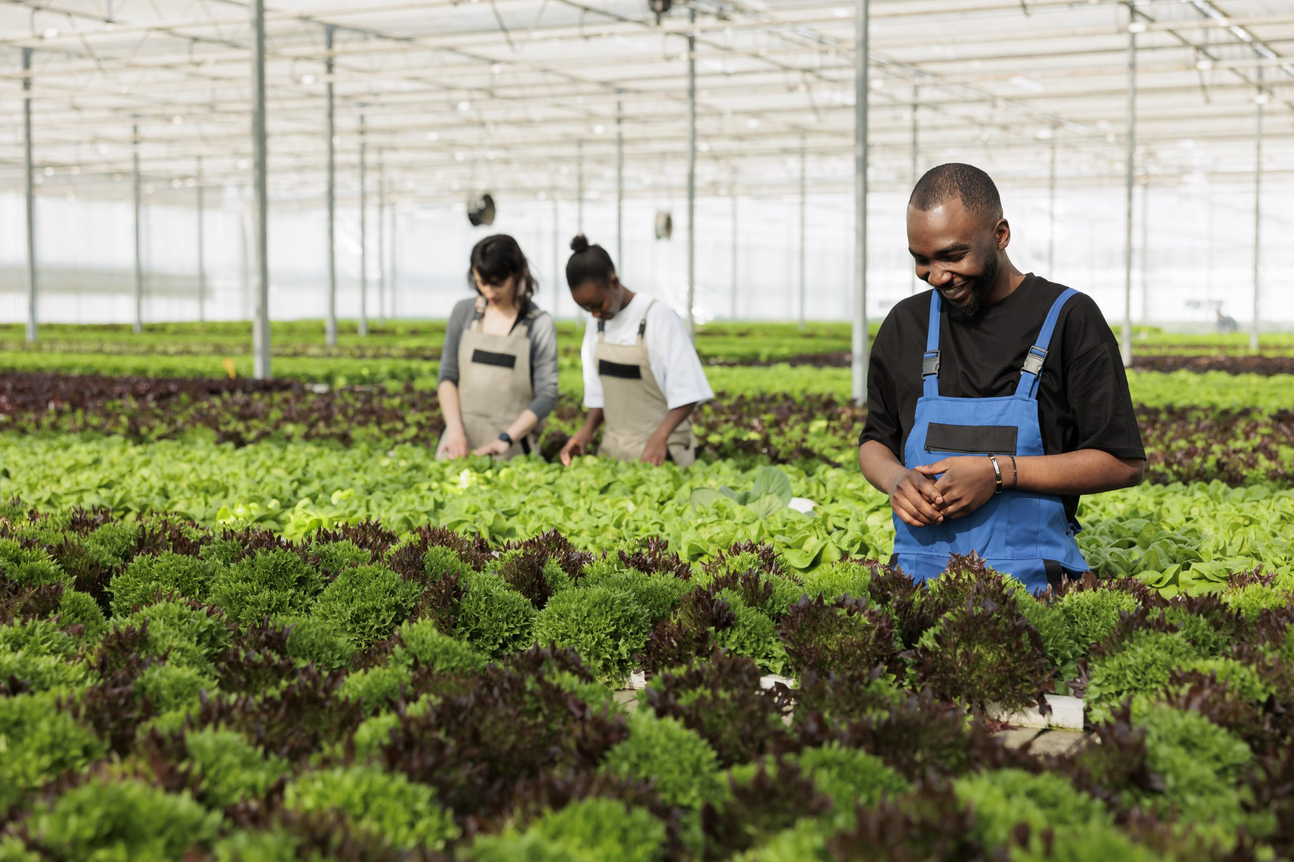 Texas Colleges With Agriculture Programs
