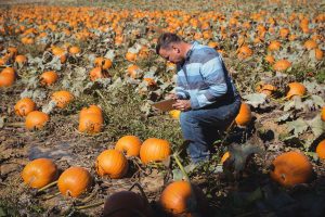 Pre Emergent Herbicide For Pumpkins