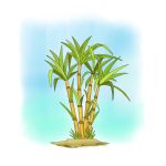  Best Post Emergence Selective Herbicide For Sugarcane