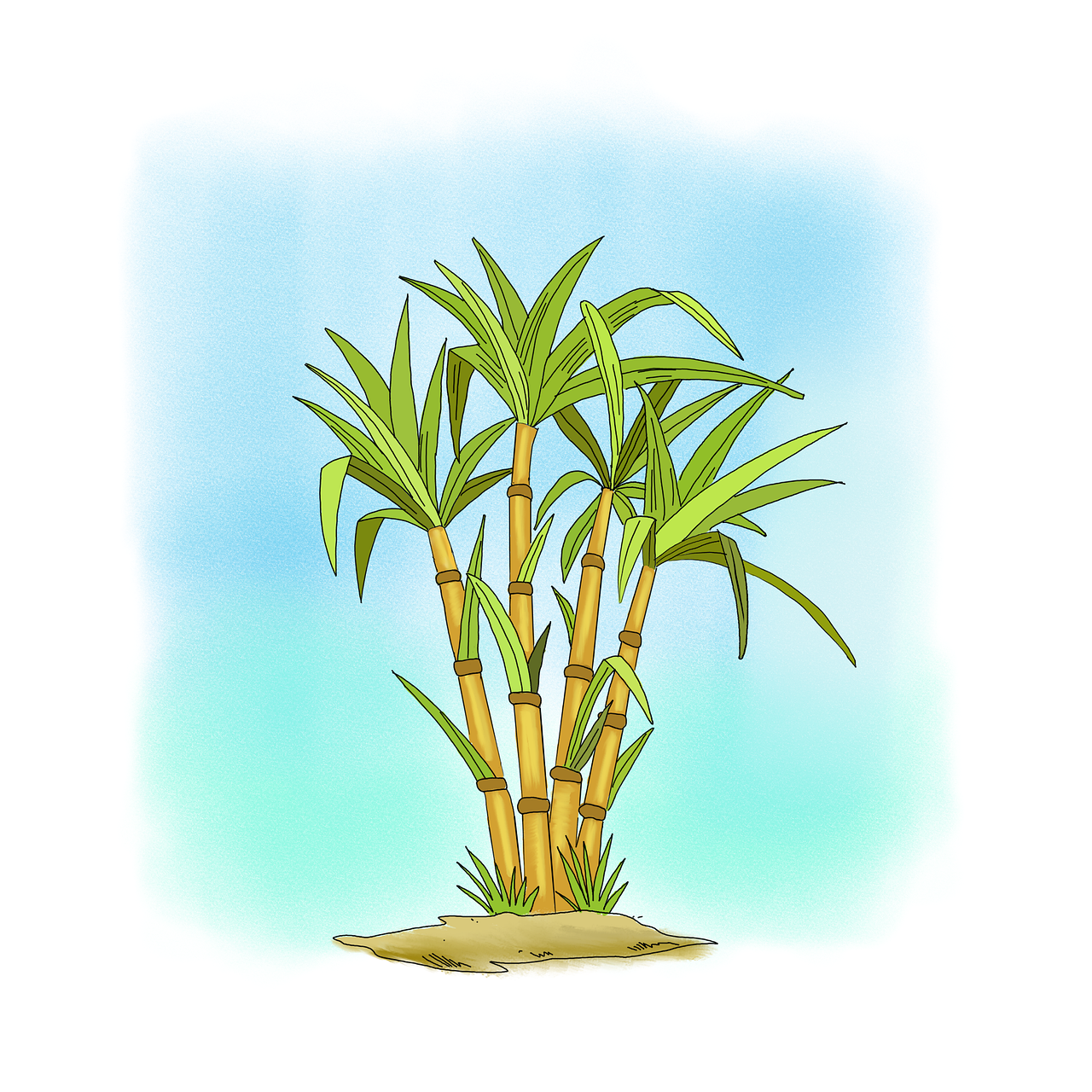 Best Post Emergence Selective Herbicide For Sugarcane