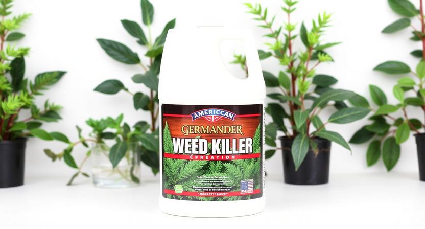 Best Weed Killer For American Germander