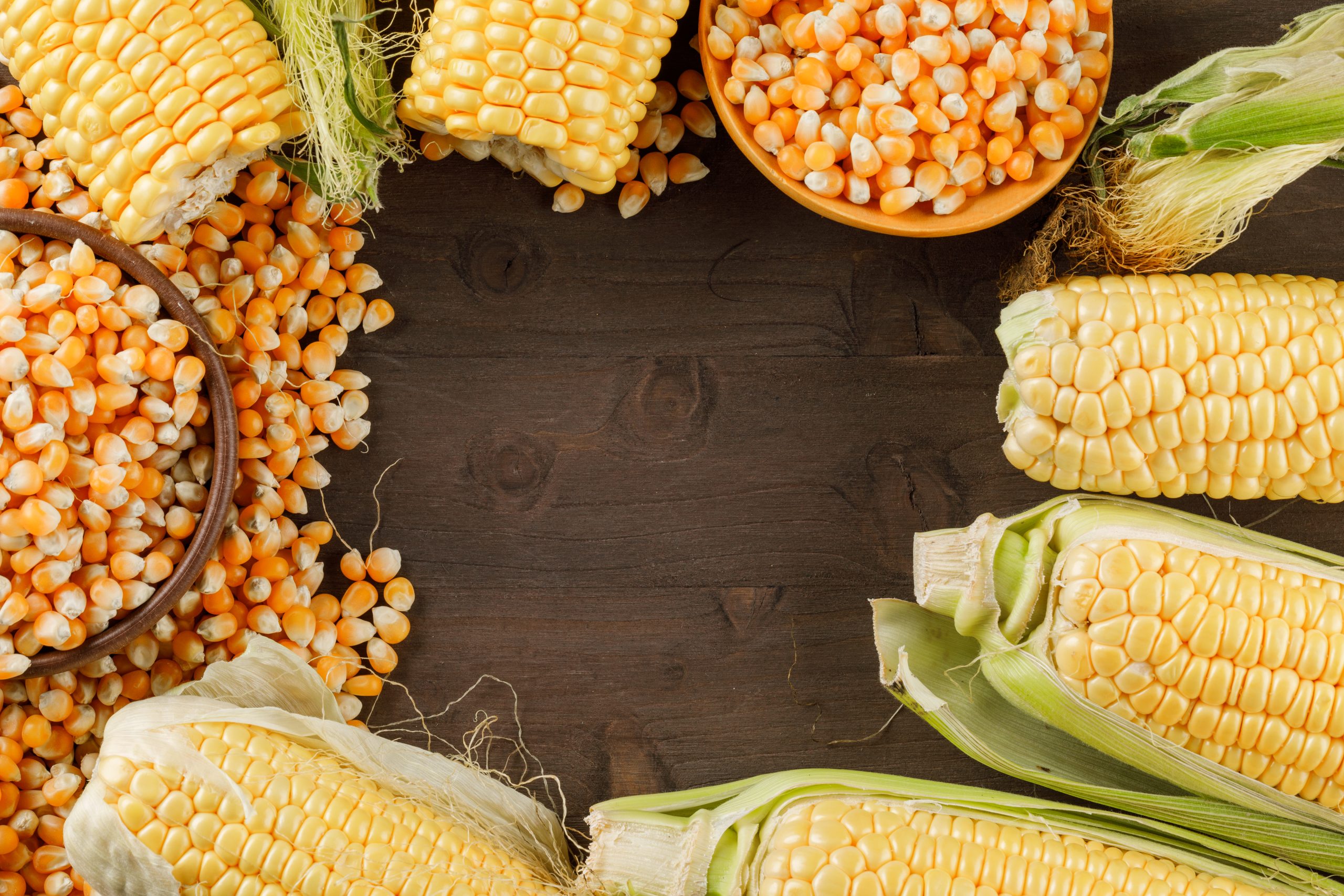 Roundup Ready Corn Varieties