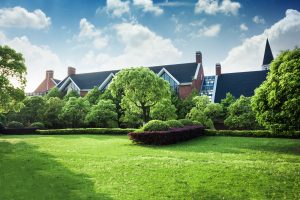 Best Fertilizer For Thicker Grass