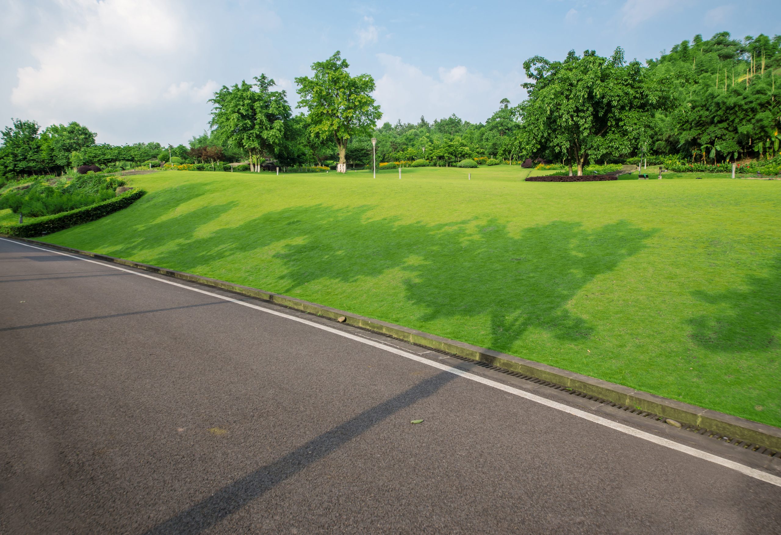 Best Fertilizer For Bermuda In June