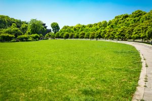 Best Fertilizer For Fall Overseeding