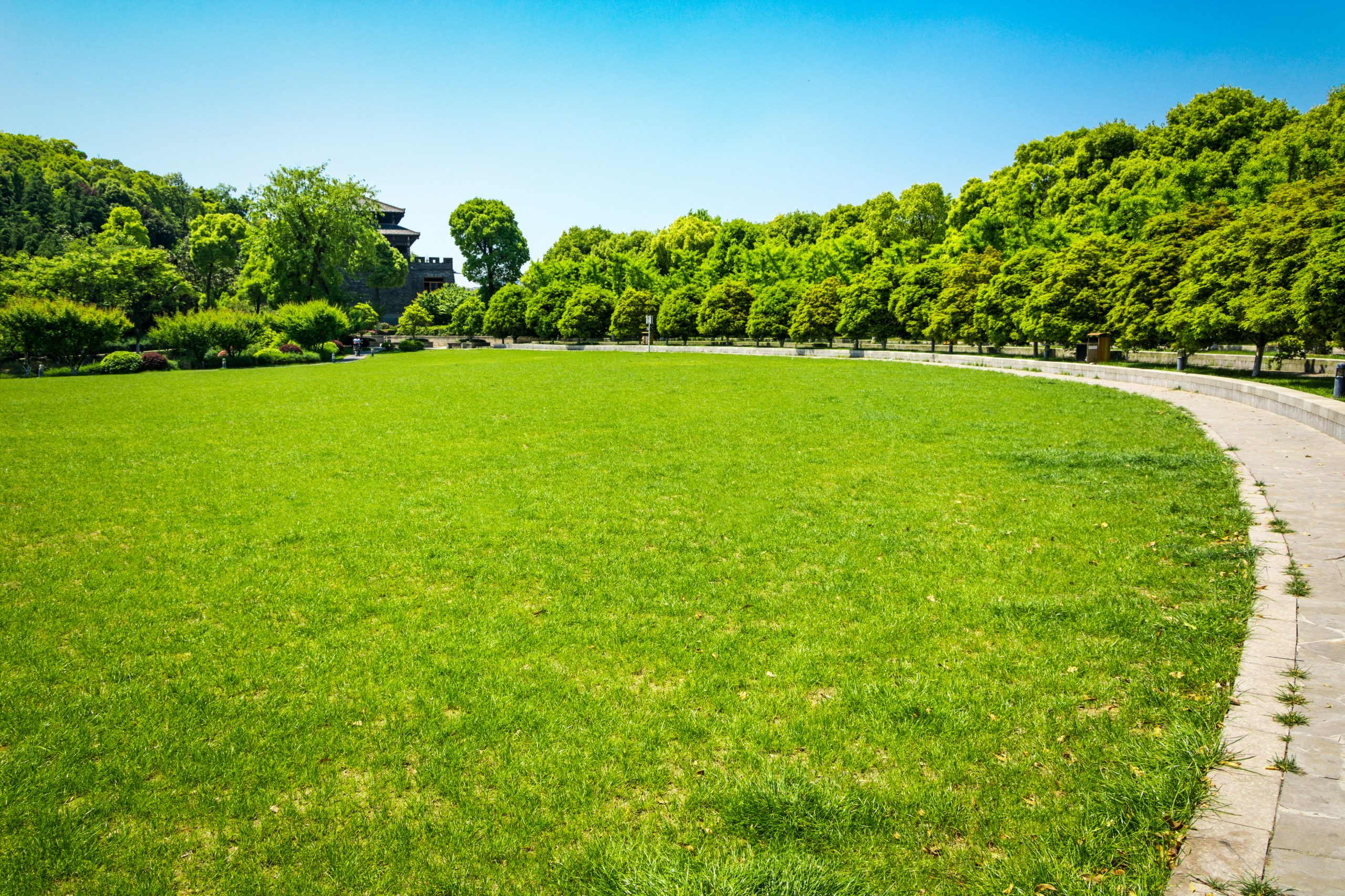 Best Fertilizer For Fall Overseeding