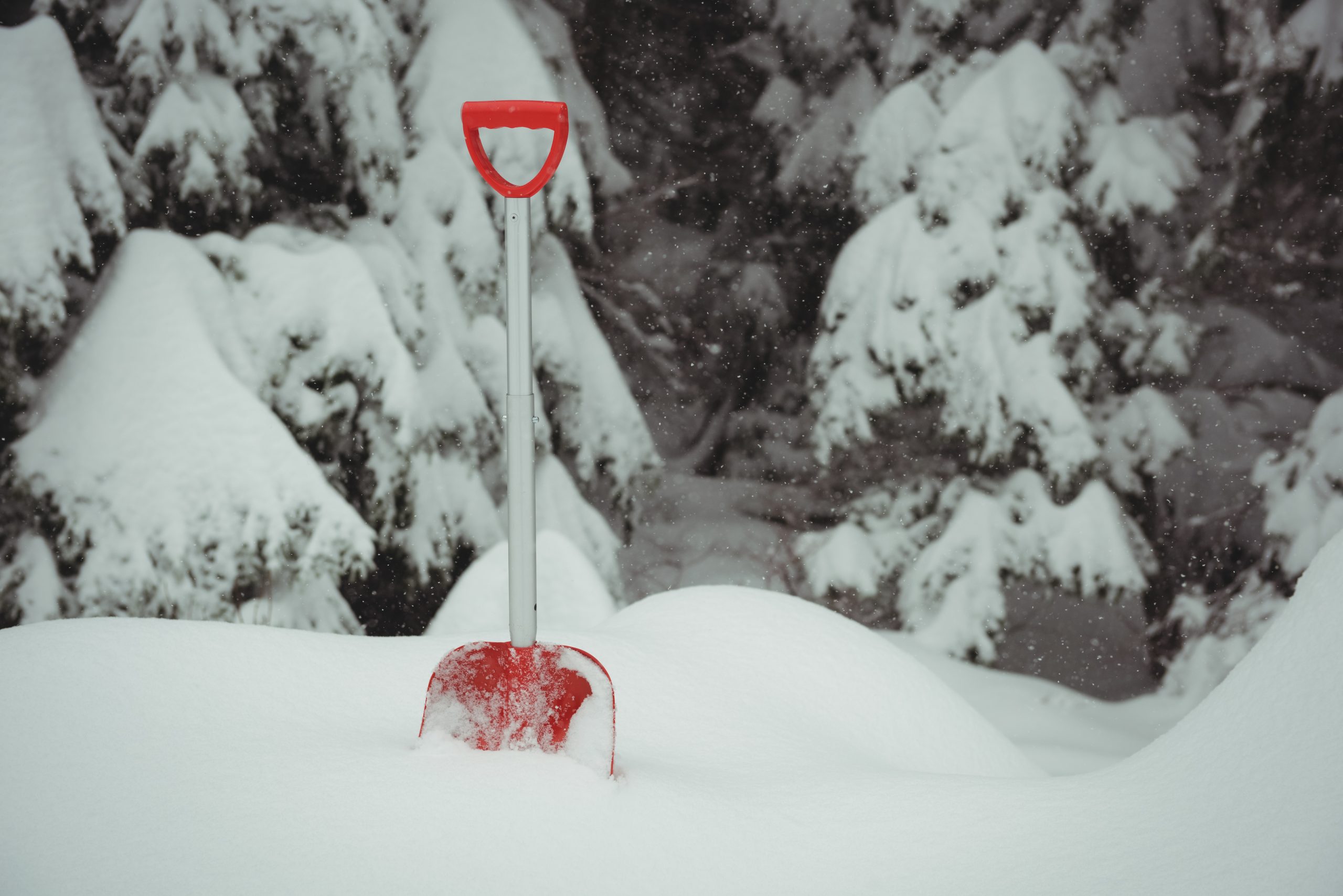 Best Snow Shovel For Composite Decking