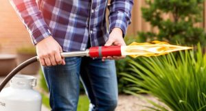 Best Weed Burning Torch