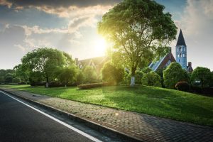 Best Fungicide For St Augustine Grass In Texas