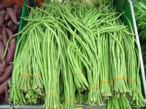 Plants That Look Like Noodles