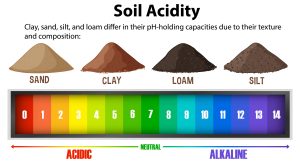  Soil pH Tester Kit
