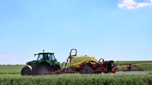 Best Herbicide For Echinochloa Crus Galli