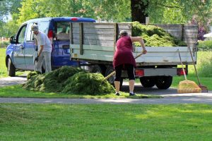 Best Herbicide For Landscapers