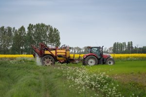 Best Herbicide For Yellow Star Thistle