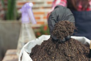 Best Mulch For Zone 9b
