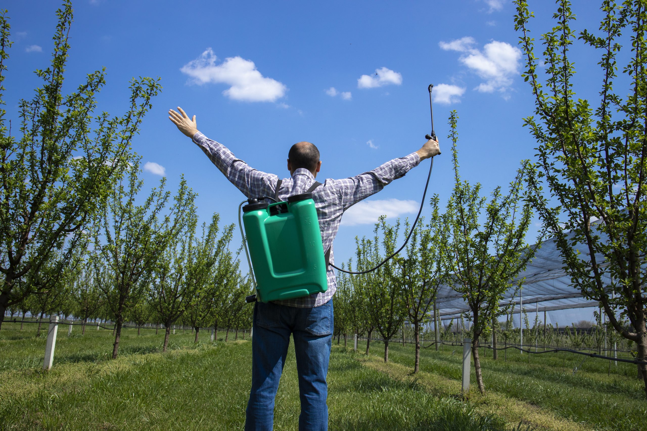 Is It Hard To Cancel TruGreen?