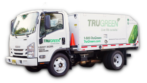 Is TruGreen Worth It? 