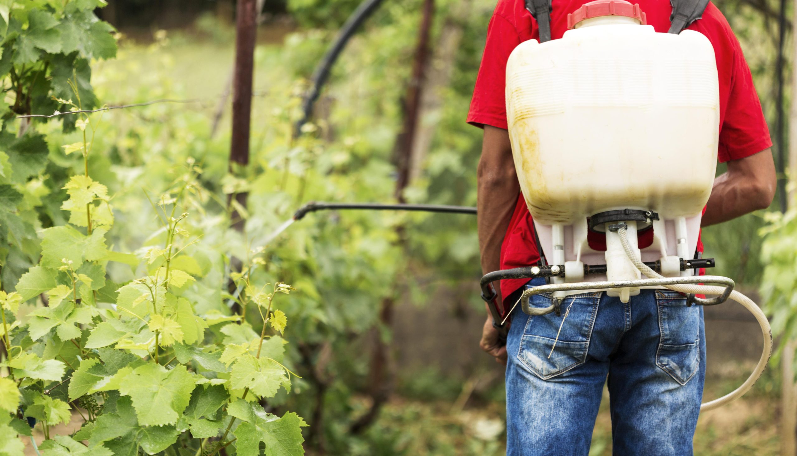 What Is The Strongest Herbicide In The World?
