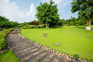 What Are The Uses Of Clincher Herbicide?