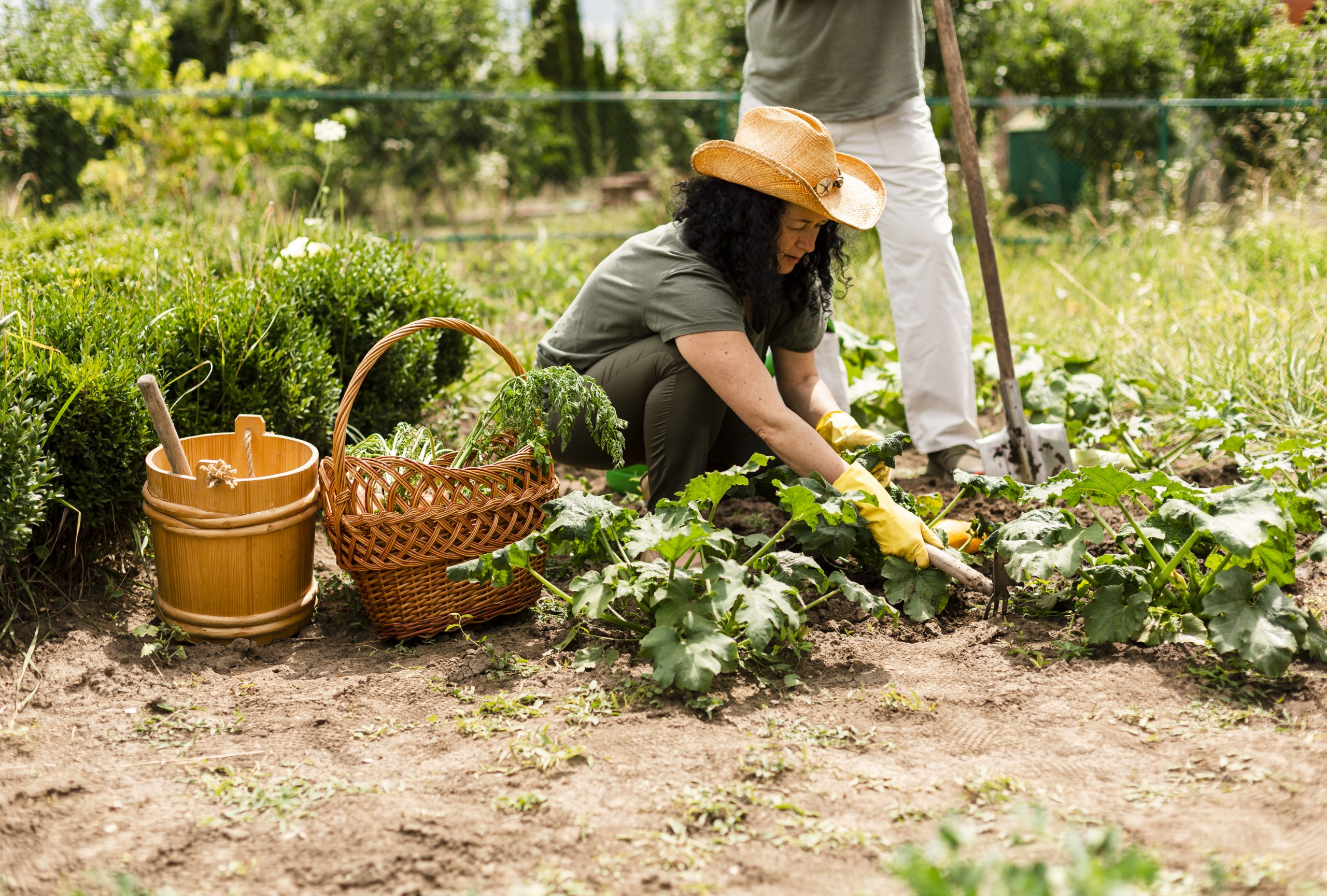 Weeds That Take Over Gardens